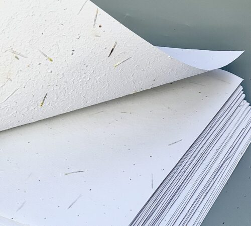 Seed paper