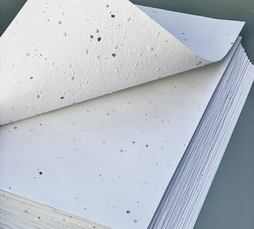 Seed paper