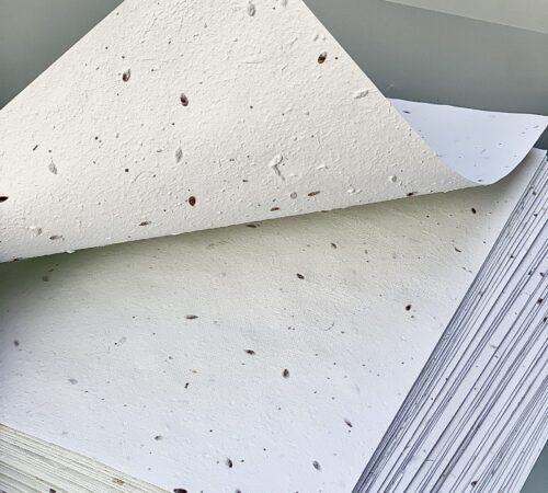 Seed paper
