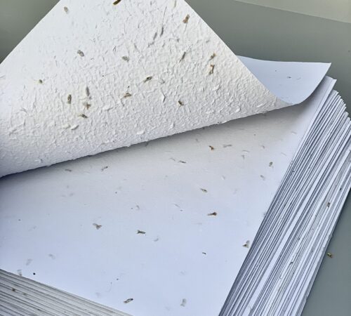 Seed paper