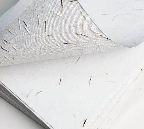 Seed paper