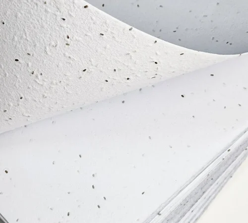 Seed paper