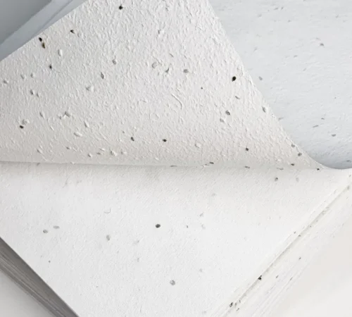 Seed paper
