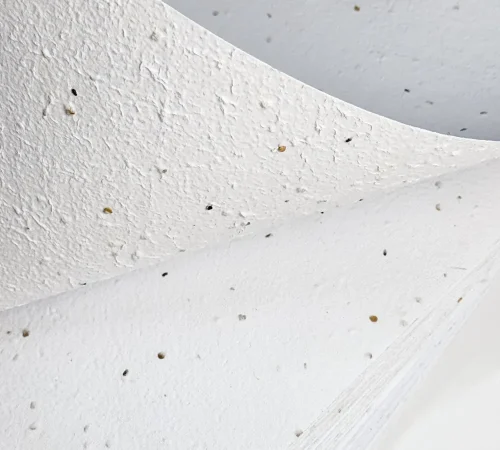 Seed paper
