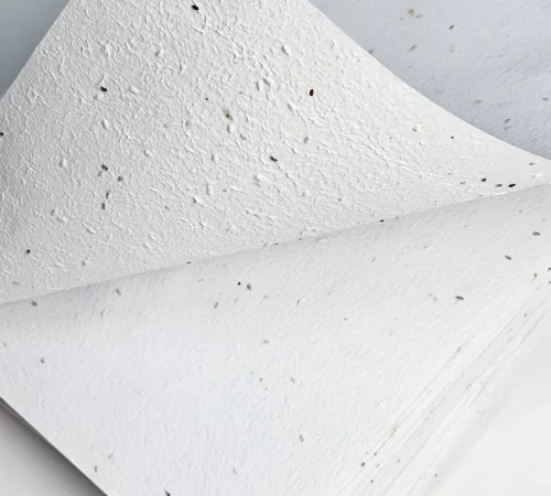 Seed paper