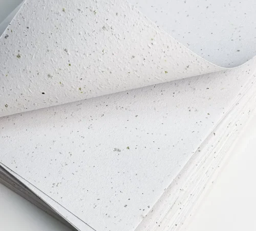 Seed paper