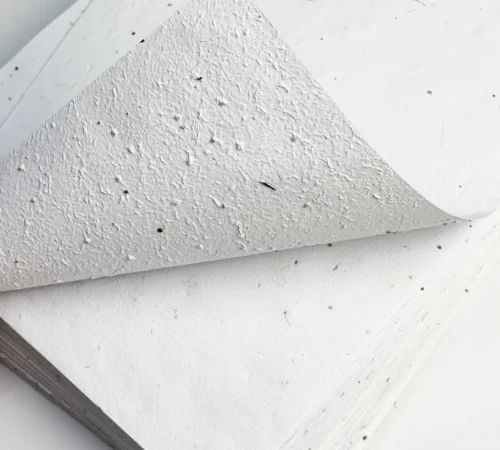 Seed paper
